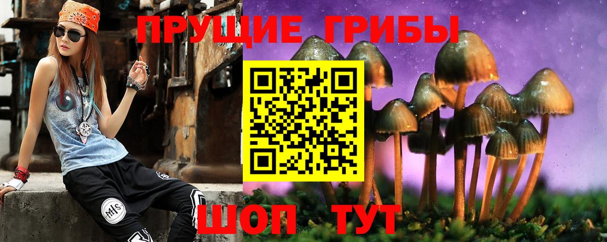 Псилоцибиновые грибы ЛСД Нурлат